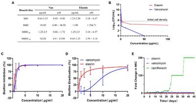 Mode of action of elasnin as biofilm formation eradicator of methicillin-resistant Staphylococcus aureus